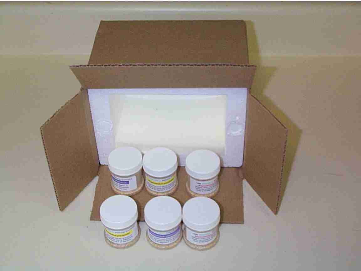 An example of our quality packing system